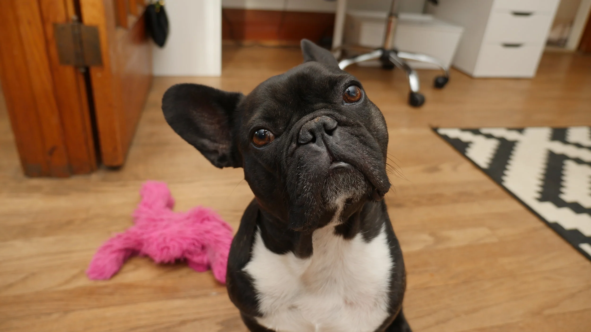 FRIDAY MORNINGTIMES... PLUS MORE PICTURESTORIES FROM THE FIRE SAFETY AWARDS!! (24 photos) 