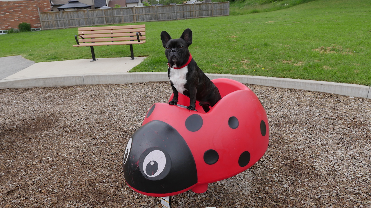 TUESDAY MORNINGTIMES... EXPLORADVENTURING WITH YOU!! (30 photos) 