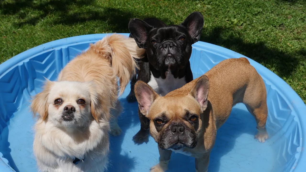 MONDAY MORNINGTIMES... WITH MIRABELLE!! (15 photos) 