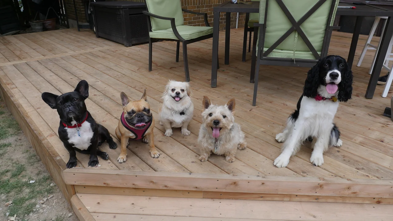 FRIDAY MORNINGTIMES... WITH SHINYNEW INTHESAMEPLACEFRIENDS!! (10 photos + 2 galleries)