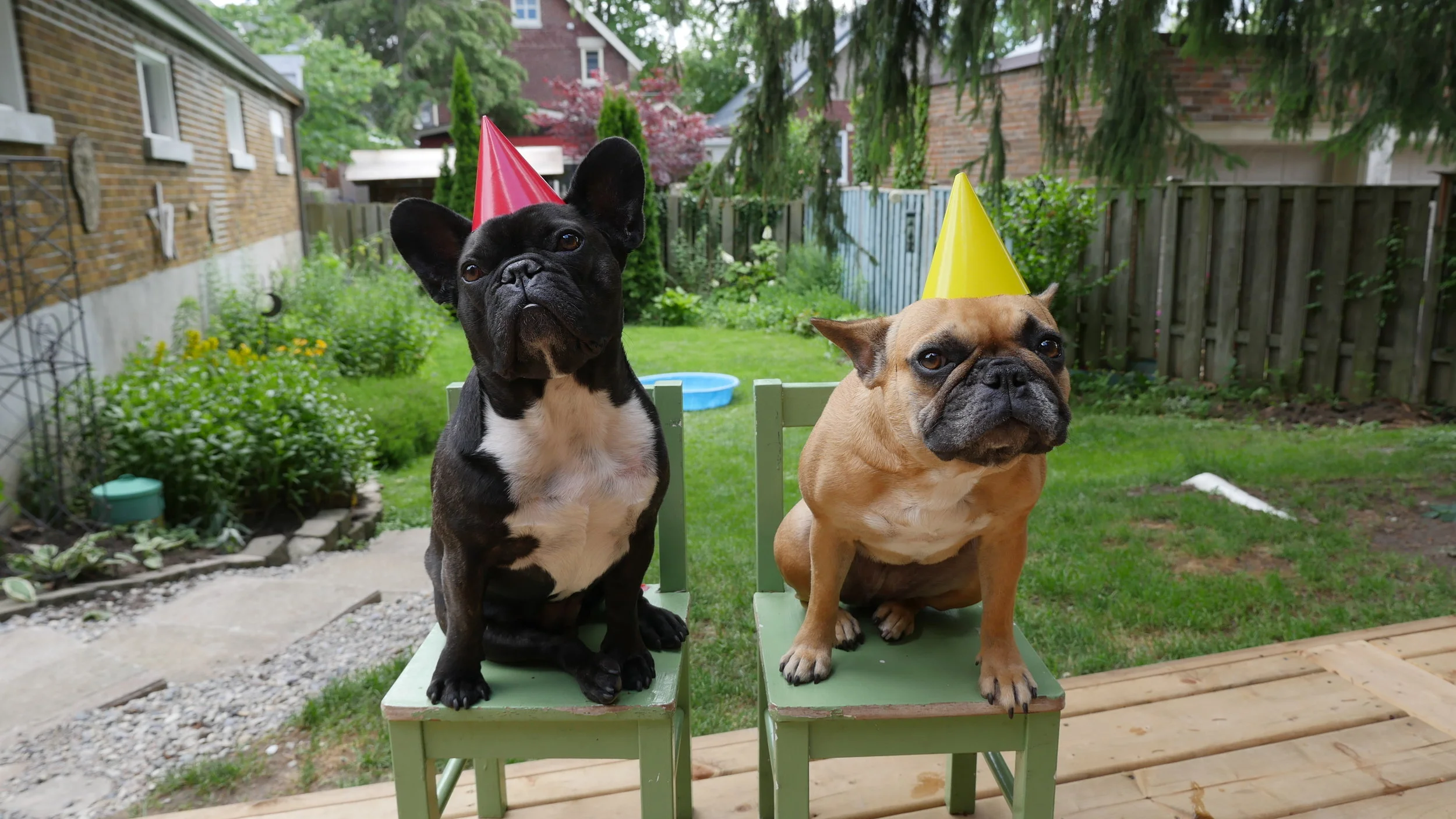 MONDAYTIMES WITH MIRABELLE... PLUS UNCLE DANNY'S BIRTHDAYPARTYTIMES!! (20 photos + gallery) 