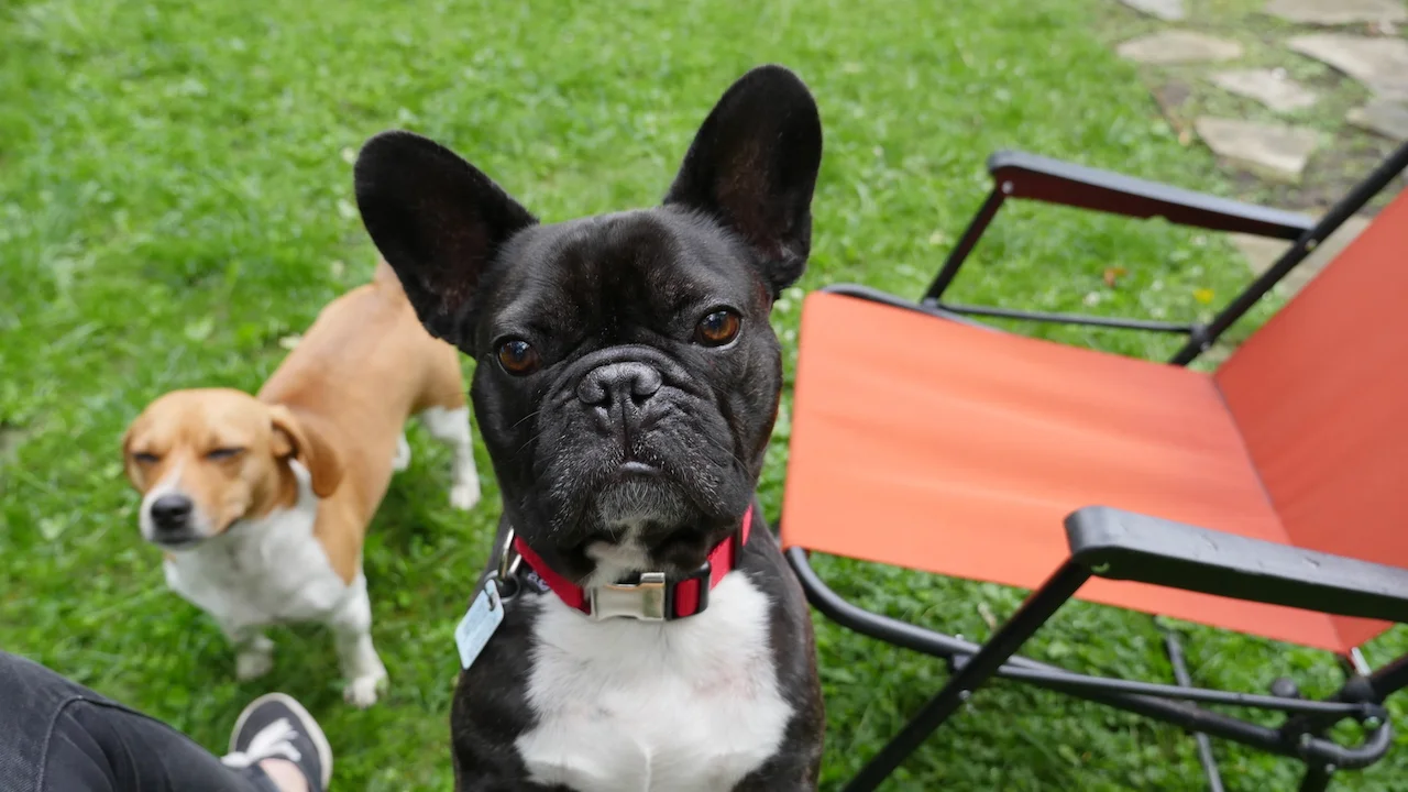 TUESDAY MORNINGTIMES... PLUS A WHOLE 'NOTHER BIRTHDAYTIMES PARTY!! (12 photos + gallery) 