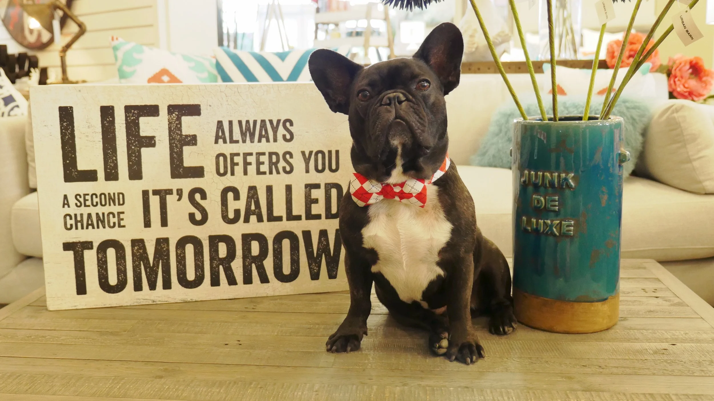 WEDNESDAY NIGHTYNIGHTIMES... PLUS HAPPYHEARTHUGS FOR YOU!! (5 photos)