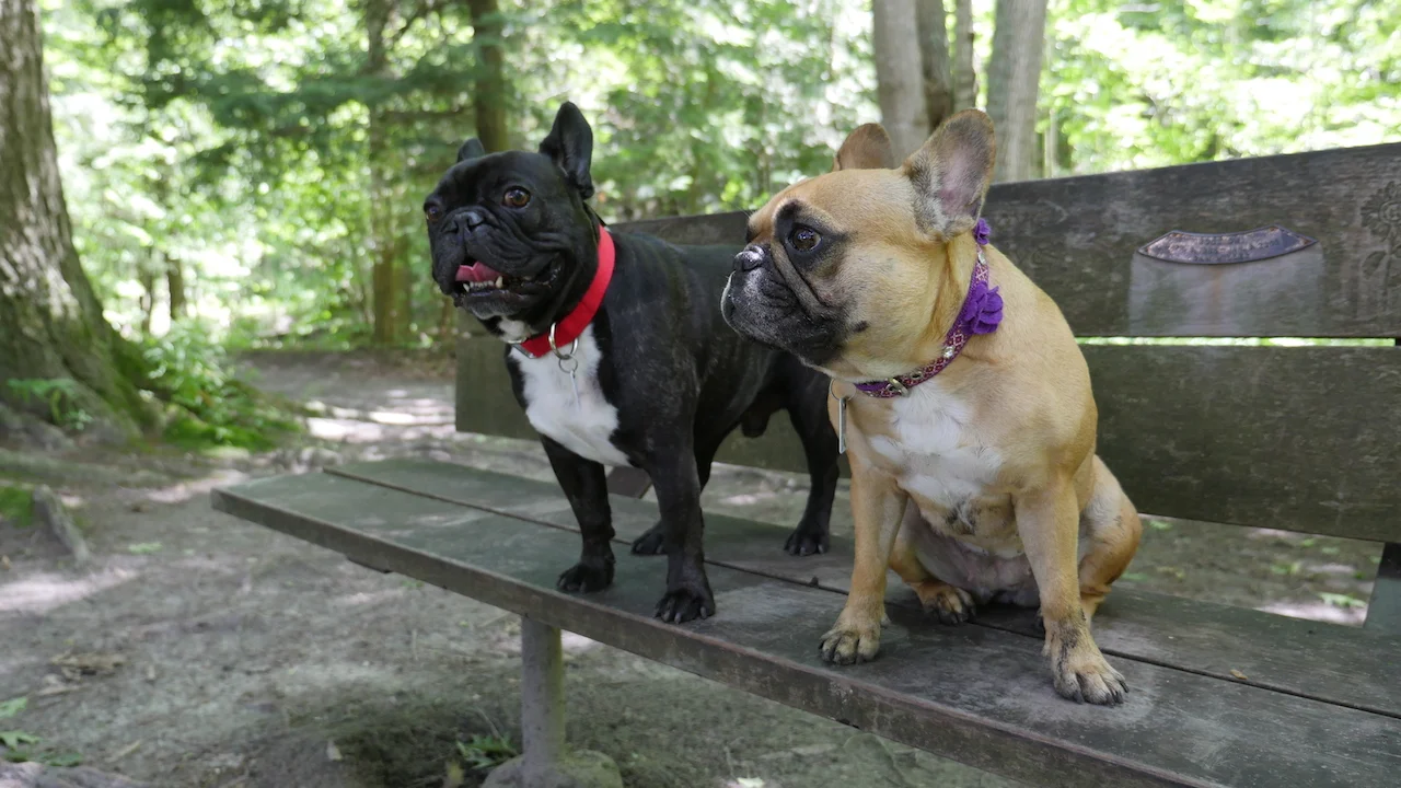 FRIDAY MORNINGTIMES... ON KOMOKA TRAILS!! (61 photos) 