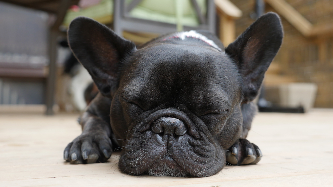 THURSDAY MORNINGTIMES... MEANS LOTSA LEISURETIMES!! (8 photos)  