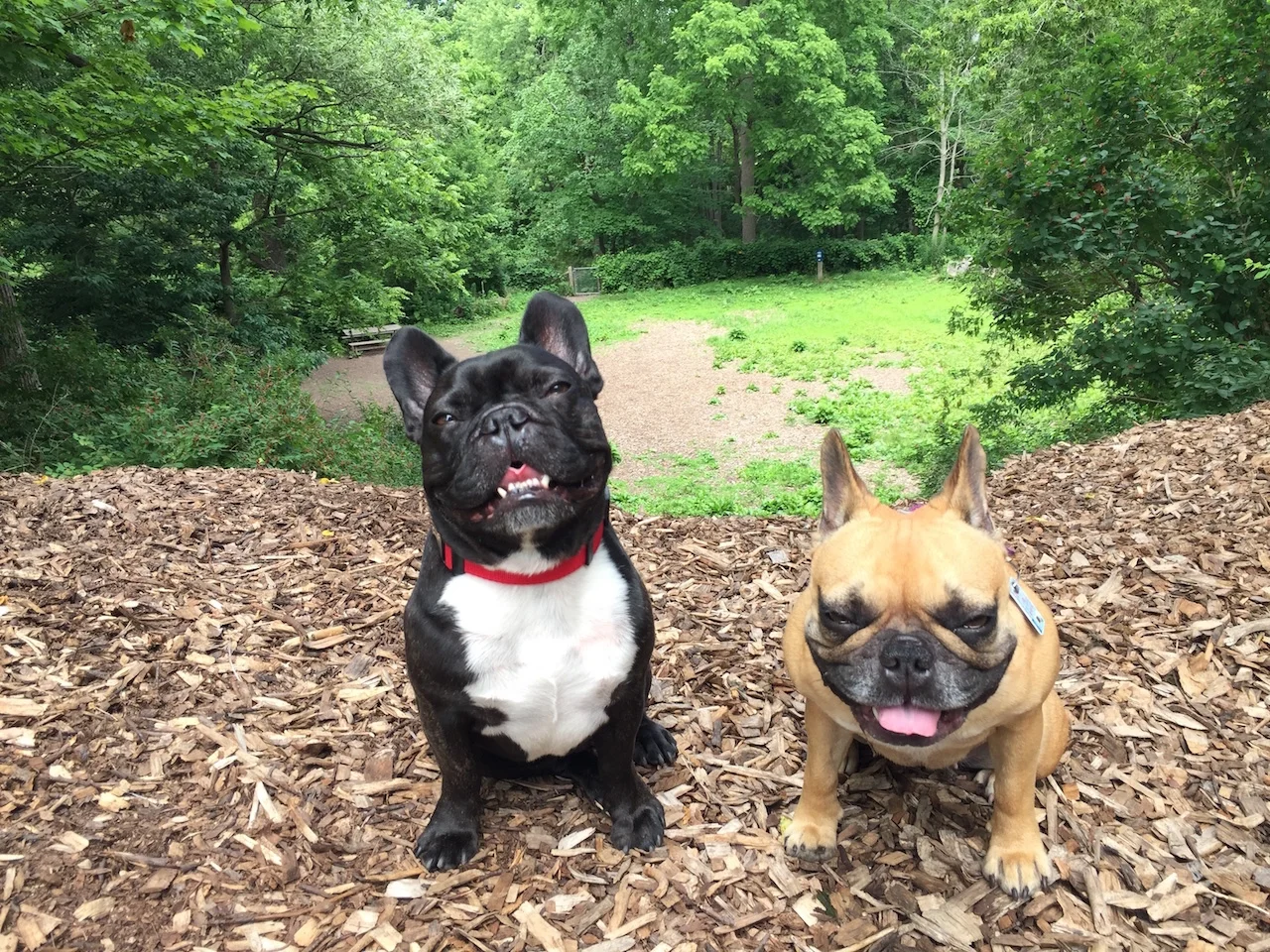 FRIDAY MORNINGTIMES.... PLUS A GIGANTICAL MOUNTAINHILL!! (26 photos) 