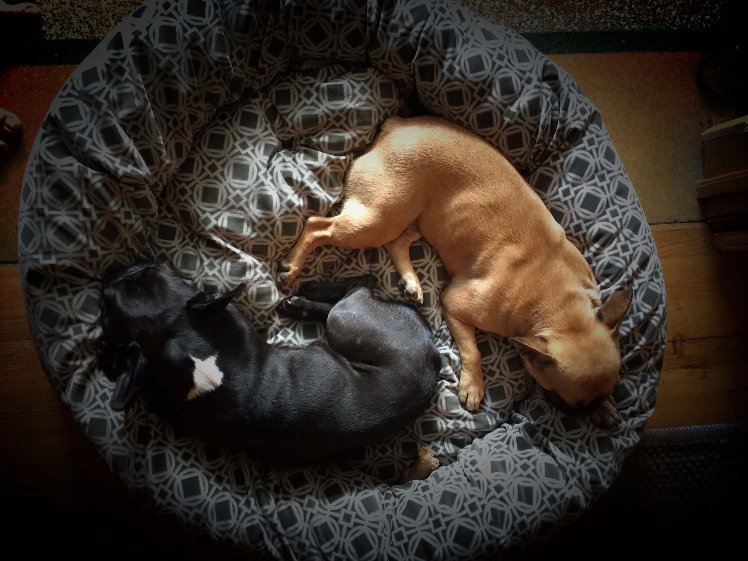 THURSDAY NIGHTYNIGHTIMES... PLUS SOME BIGGISH NEWS FOR YOU!! (5 photos) 