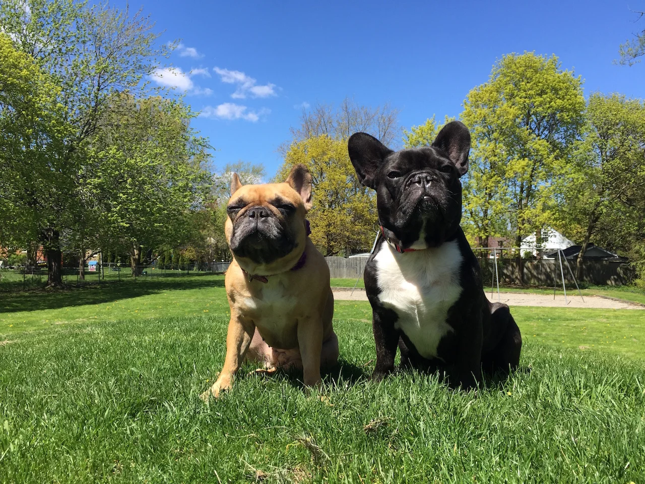 FRIDAYMORNINGTIMES... PLUS HANGING OUT WITH YOU!! (10 photos) 