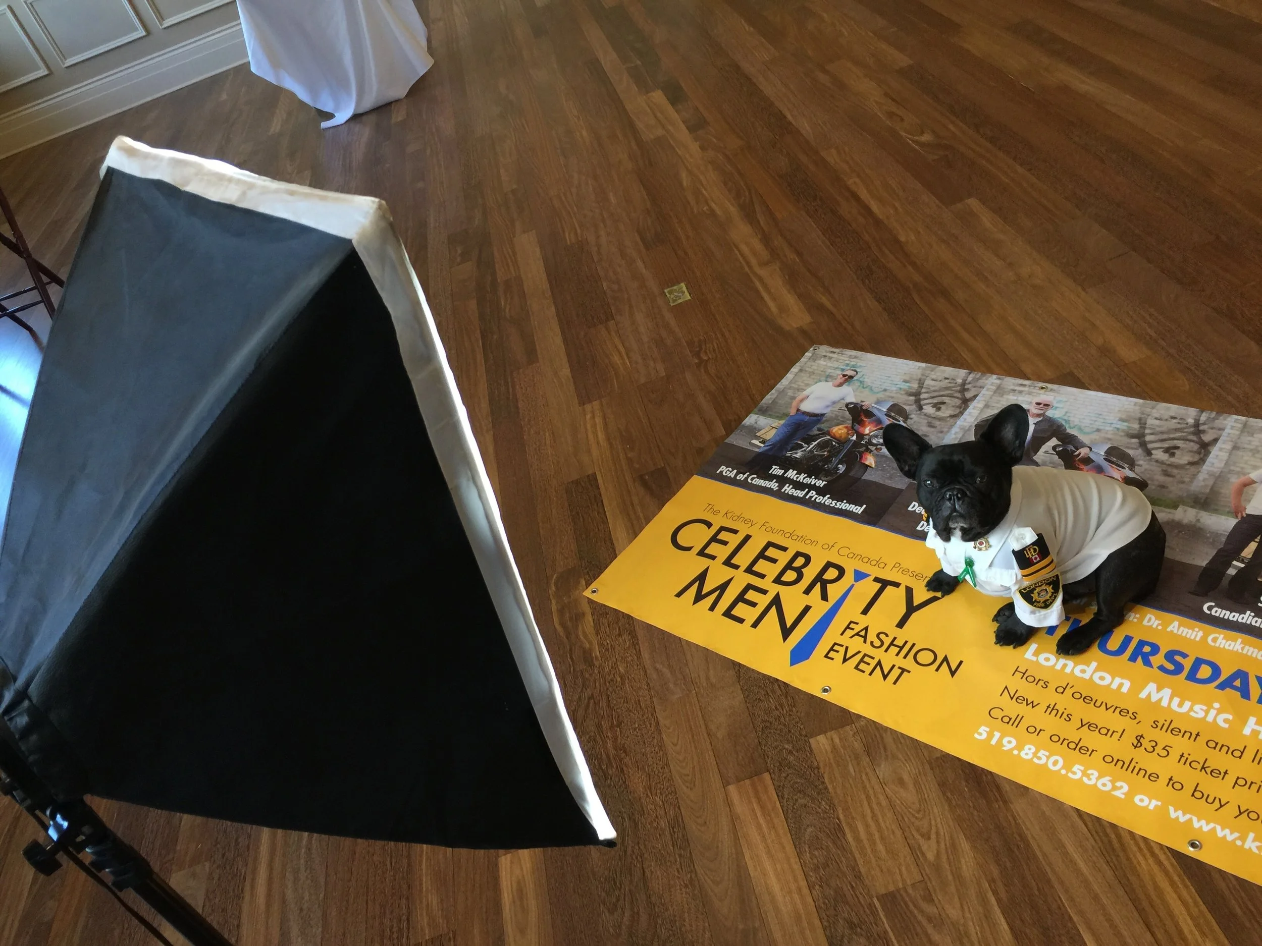 WEDNESDAY NIGHTYNIGHTIMES... INSIDE FANCYSCHMANCY LONDON CLUB!! (25 photos)