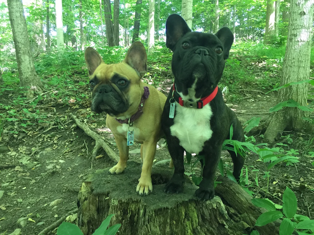 WEDNESDAY MORNINGTIMES.... IN THE GREEEEEEEEEEEEEEEN!! (7 photos) 