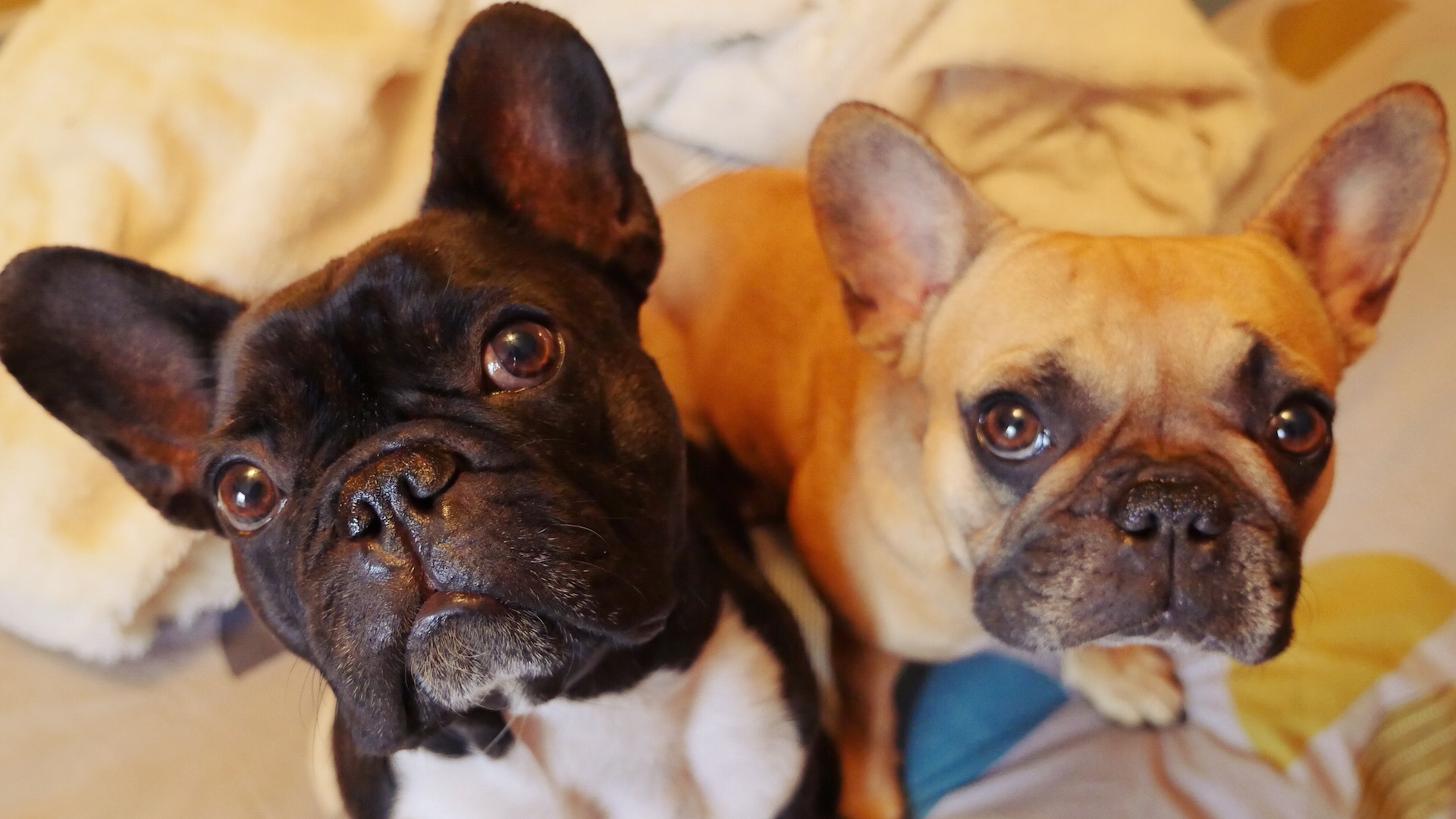 TUESDAY NIGHTYNIGHTIMES... PLUS SOME PICTUREPAINTINGS (7 photos) 