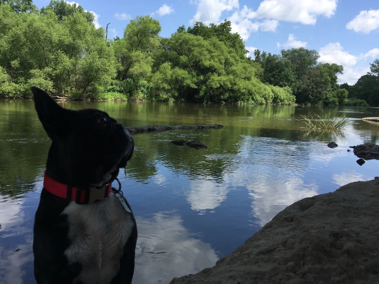 WEDNESDAY MORNINGTIMES... PLUS SOME EXPLORADVENTURING IN THE WILDERWILD!! (23 photos)