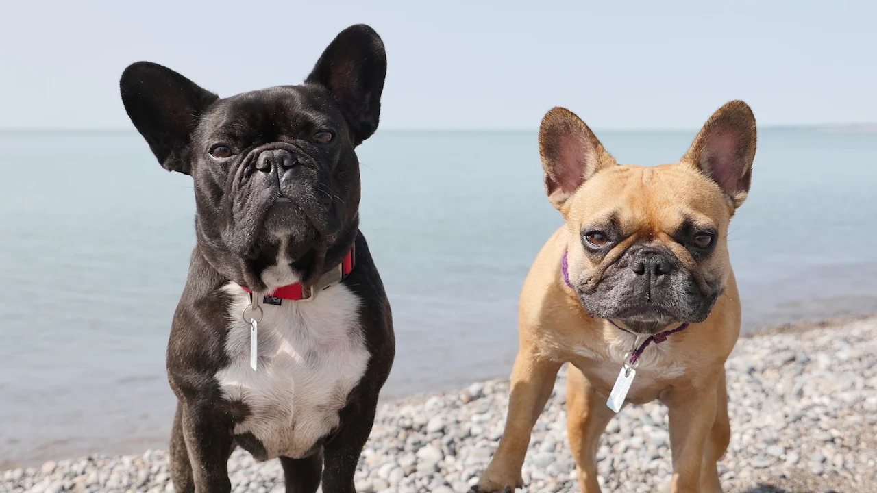 MONDAY MORNINGTIMES... PLUS PICTURESTORIES FROM THE SANDYBEACH!! (10 photos + galleries) 