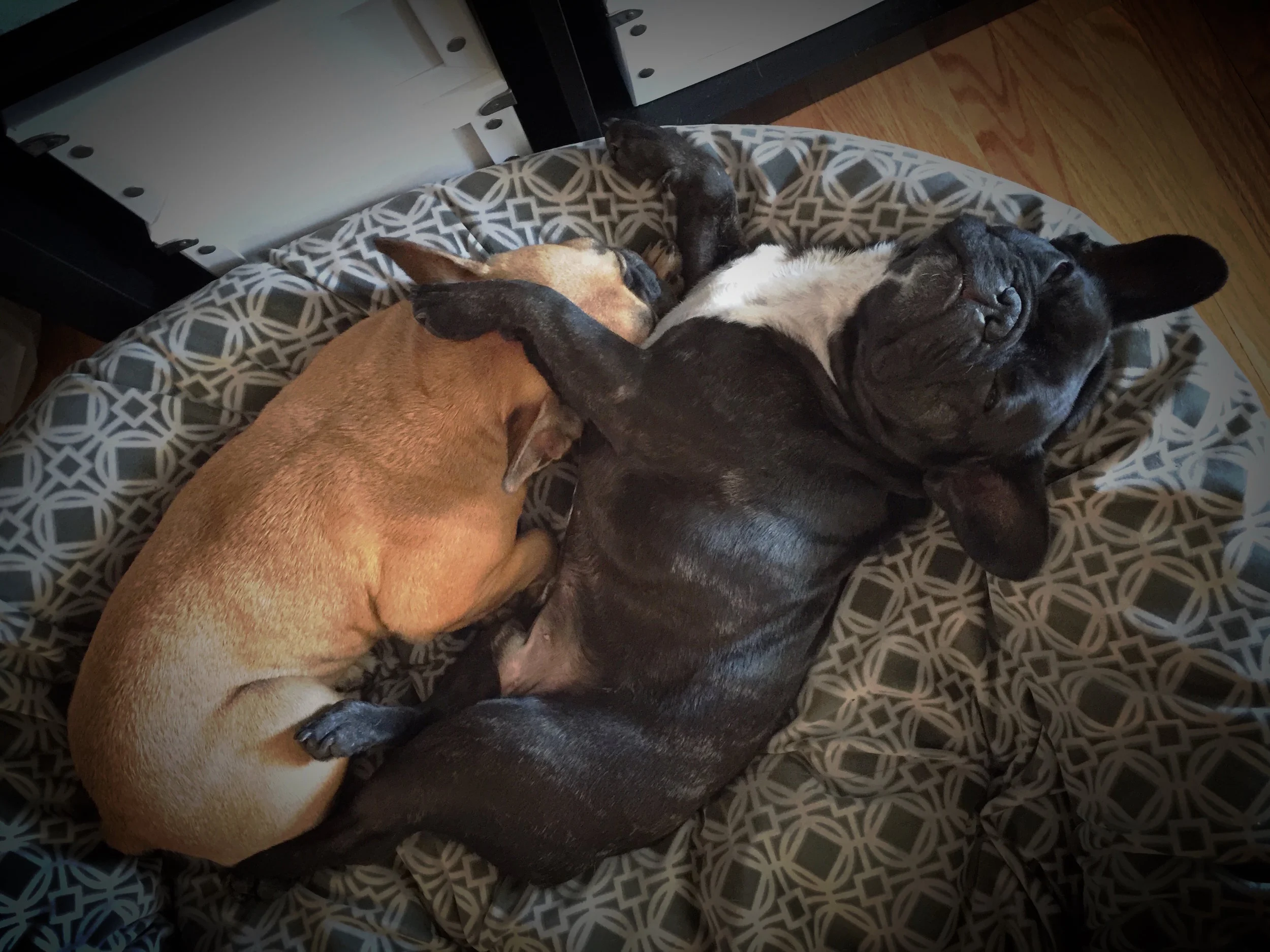 WEDNESDAY NIGHTYNIGHTIMES... PLUS GVING MIRABELLE LOTSA LOVINGS!! (