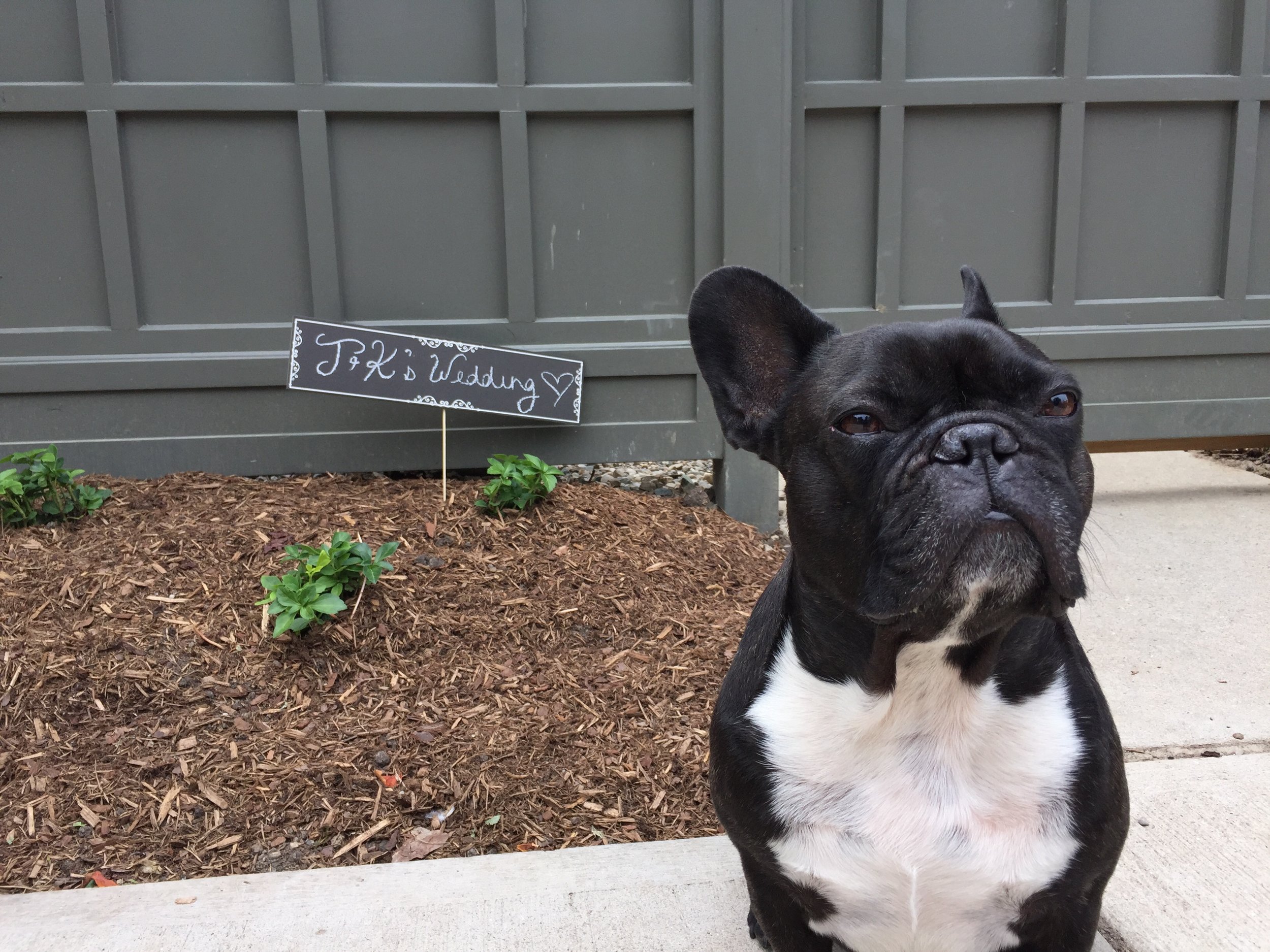 WEDNESDAY MORNINGTIMES... PLUS LEFTOVER PICTURESTORIES FROM MUM PLUS POP'S WEDDINGTIMES HITCHERY!! (17 photos)