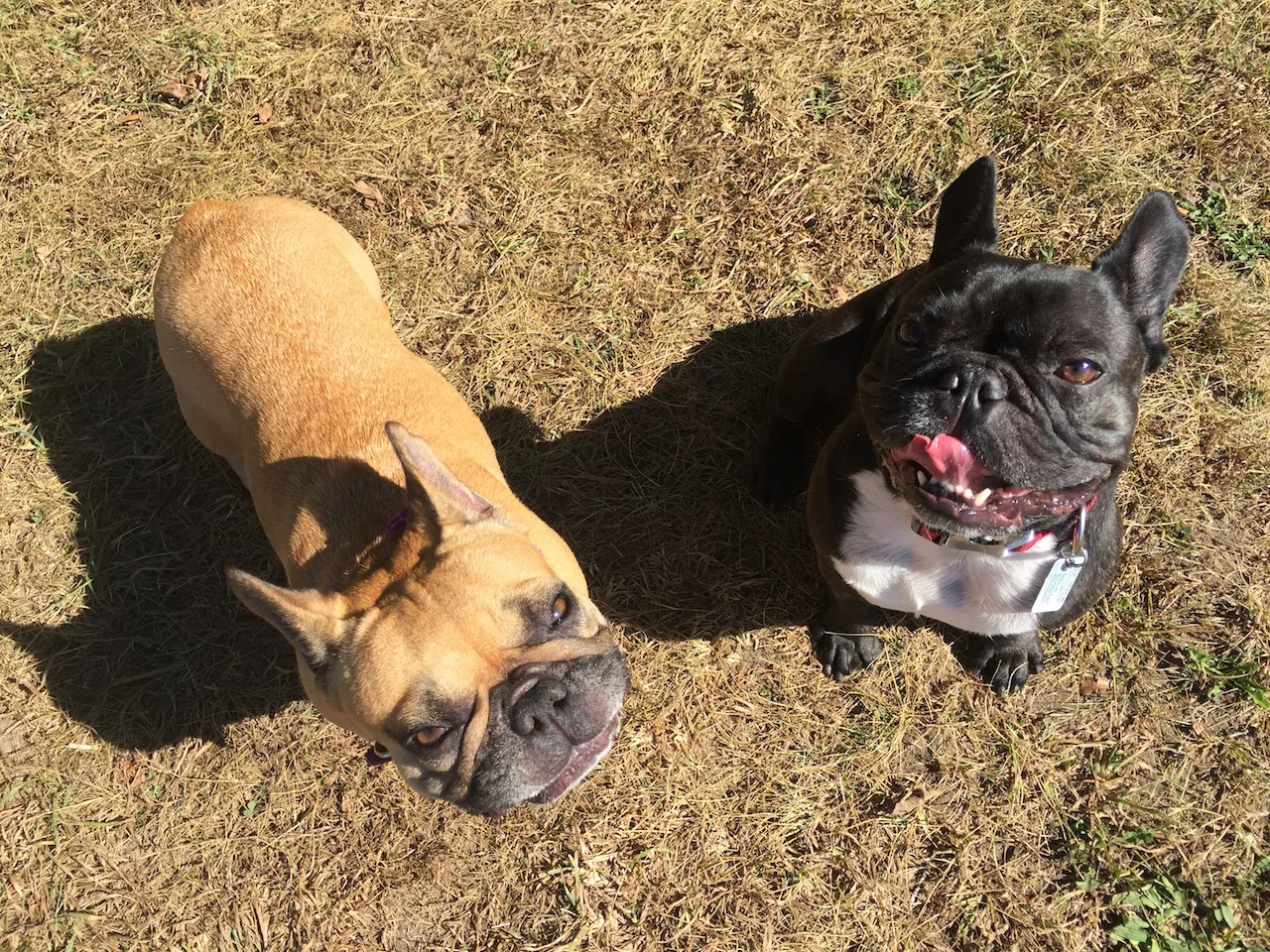 TUESDAY MORNINGTIMES... PLUS WE FOUNDED WHERE THEY ARE BUILDERATING A BRIDGE!! (24 photos)  