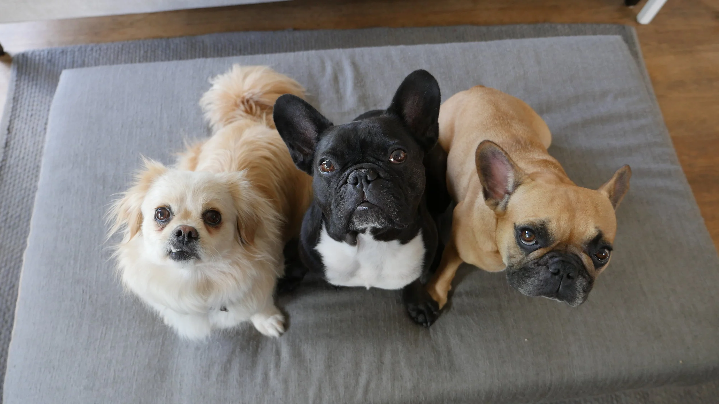 WEDNESDAY MORNINGTIMES... PLUS MY HAPPYHEARTMISSION TO WESTERN ENGINEERING!! (15 photos + gallery) 