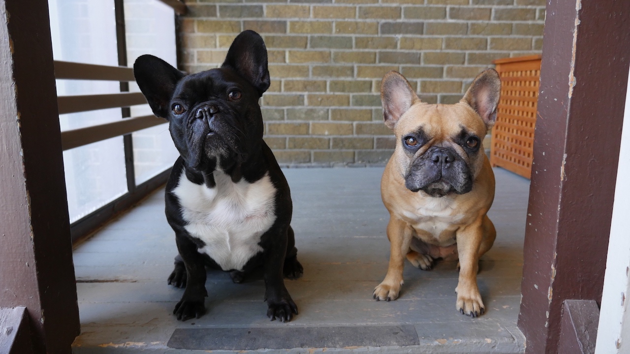 WEDNESDAY MORNINGTIMES... PLUS A FIRE SAFETY MISSION!! (7 photos) 