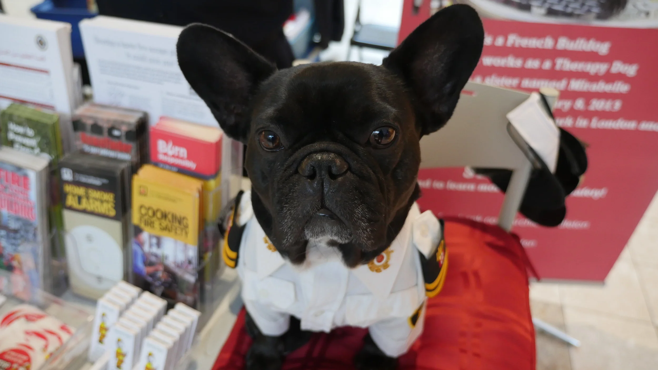 WEDNESDAY NIGHTYNIGHTIMES... PLUS MY FIRE SAFETY MISSION TO WESTMOUNT SHOPPINGMALL!! (7 photos + gallery) 