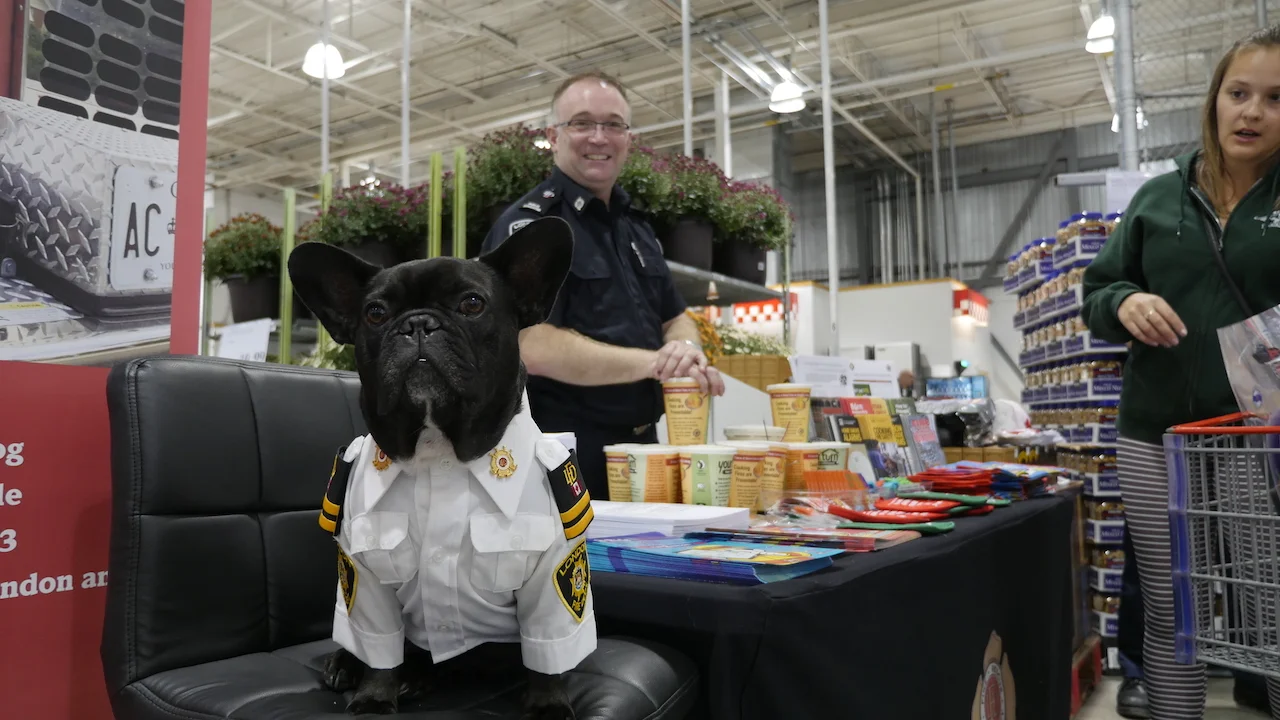 HAPPYMERRYWEEKENDTIMES, EVERYBUDDY!! (10 photos + gallery) 