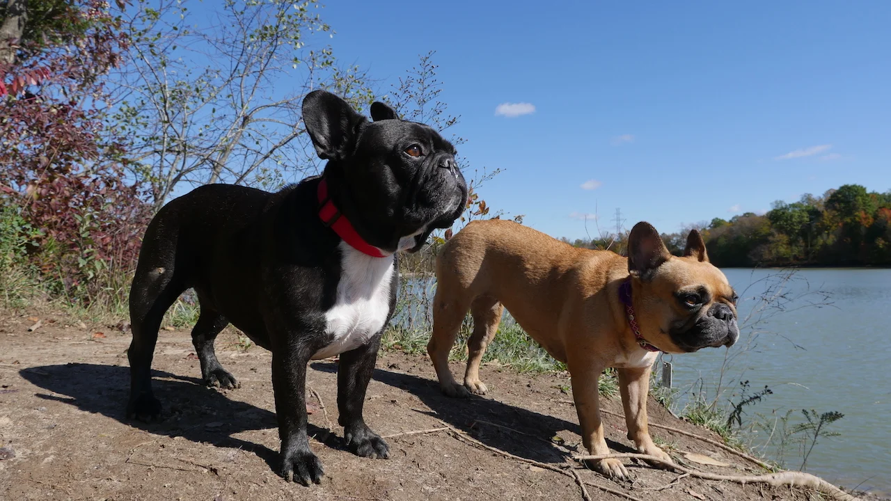 TUESDAY MORNINGTIMES... ONNA SANDYBEACH!! (10 photos) 