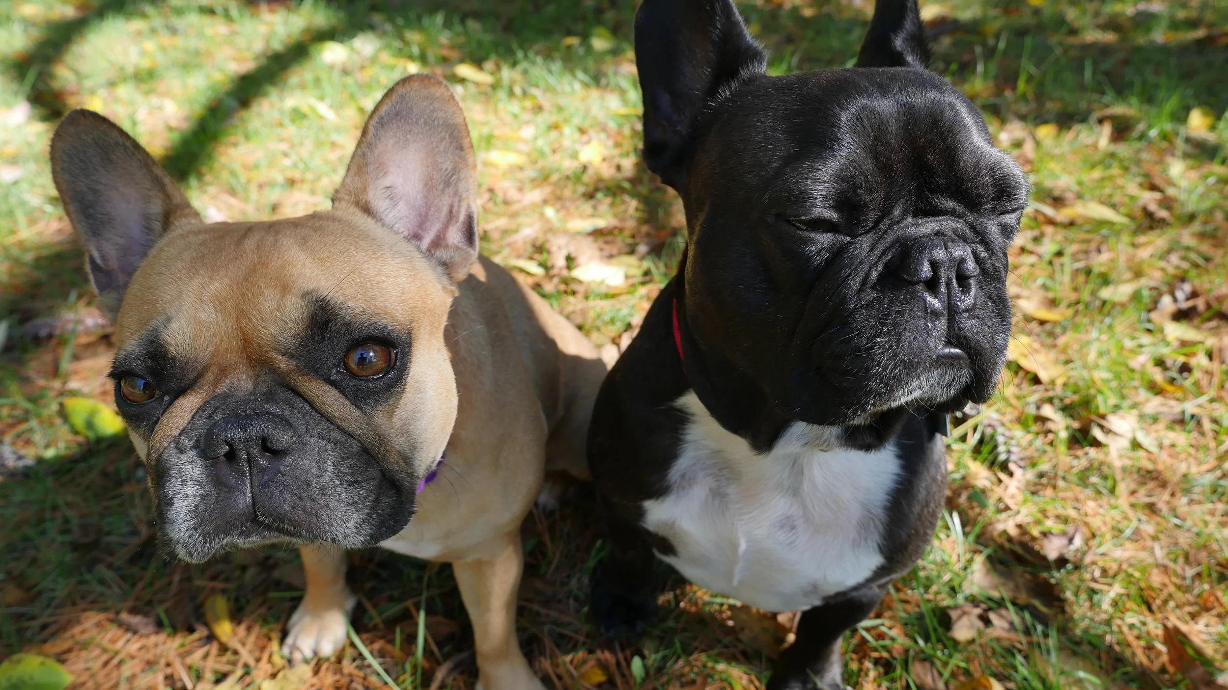 MONDAY MORNINGTIMES... PLUS ME AT FIRE STATION NUMBER 11!! (31 photos) 