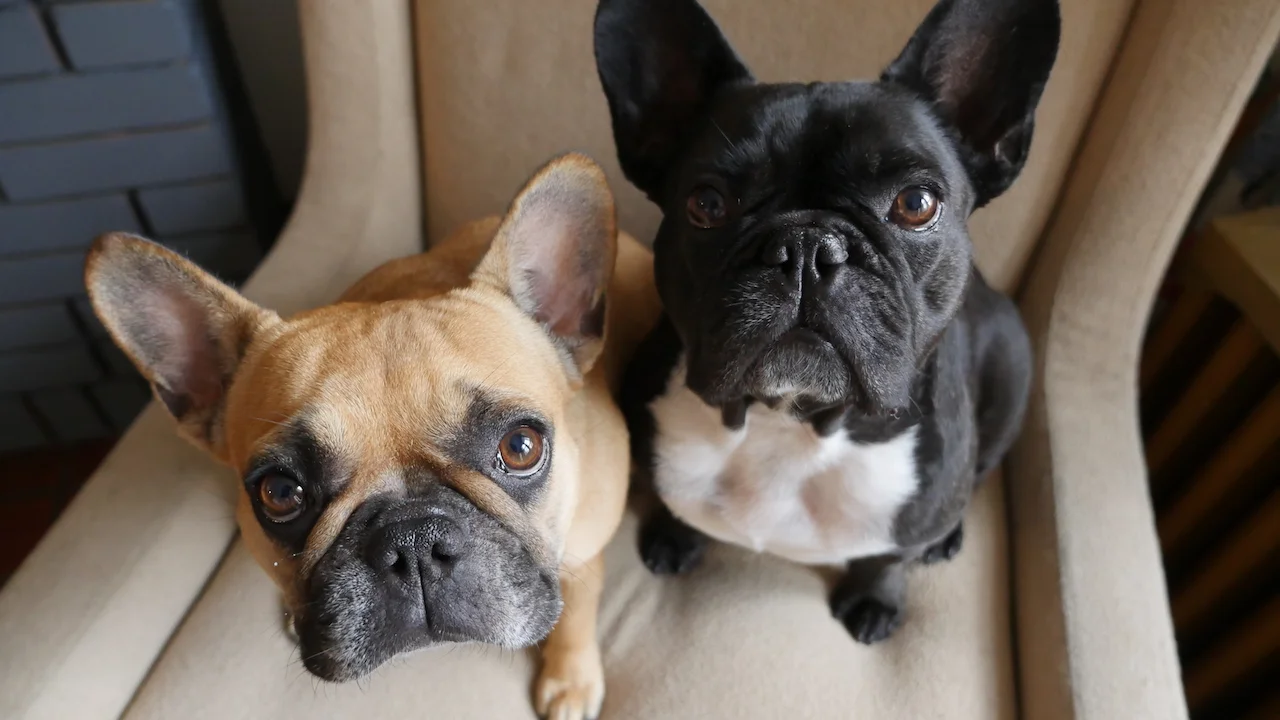 THURSDAY MORNINGTIMES... PLUS... THE OLD WINTERMAN IS COMING!! (13 photos) 