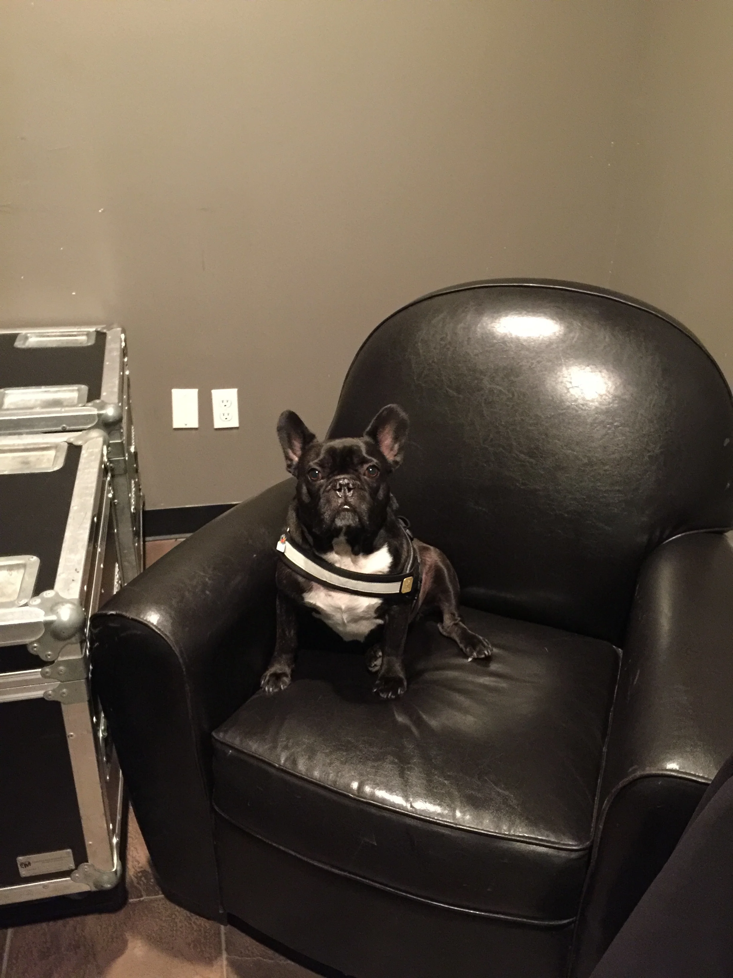 THURSDAY NIGHTYNIGHTIMES... AT THE KIDNEY FOUNDATION FASHION SHOW!! (4 photos) 