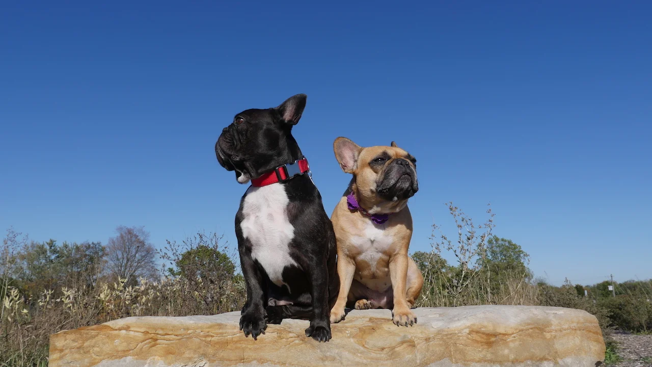 FRIDAY MORNINGTIMES... PLUS ME AT THE CELEBRITY MEN FASHION EVENT!! (15 photos) 