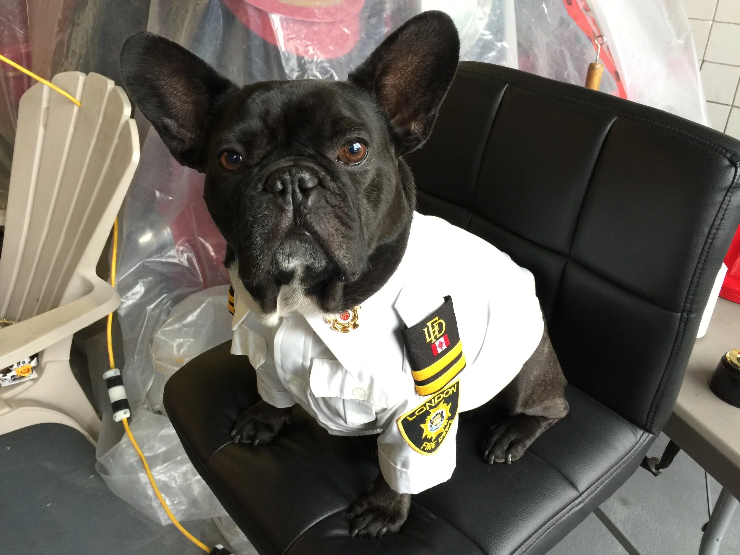 WEDNESDAY NIGHTYNIGHTIMES... PLUS ME BRAINLEARNING FIRE SAFETY!! (15 photos + gallery)  