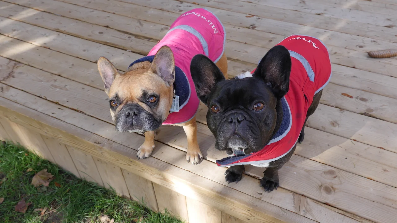 THURSDAY MORNINGTIMES... PLUS WORLD FREEDOM DAY!! (10 photos) 