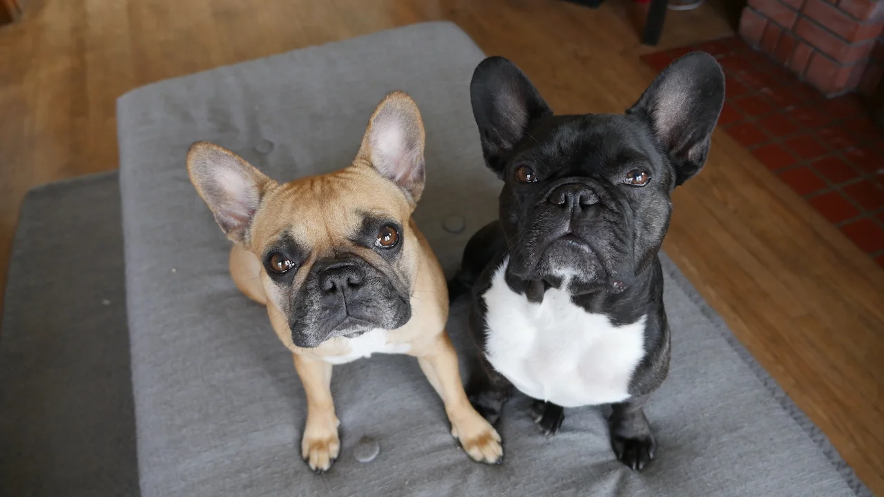 FRIDAY MORNINGTIMES... PLUS THE OLD WINTERMAN IS HERE, GUYS!! (11 photos) 