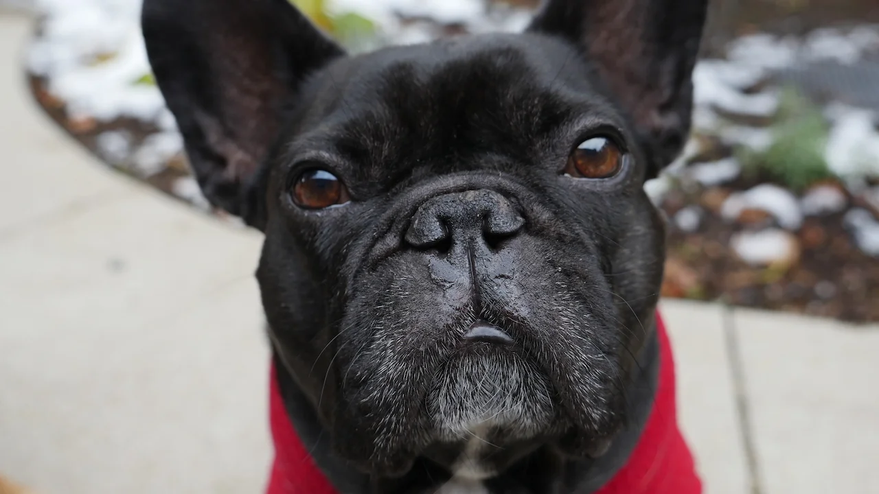 MONDAY MORNINGTIMES PLUS... EXPLORADVENTURING!! (14 photos) 