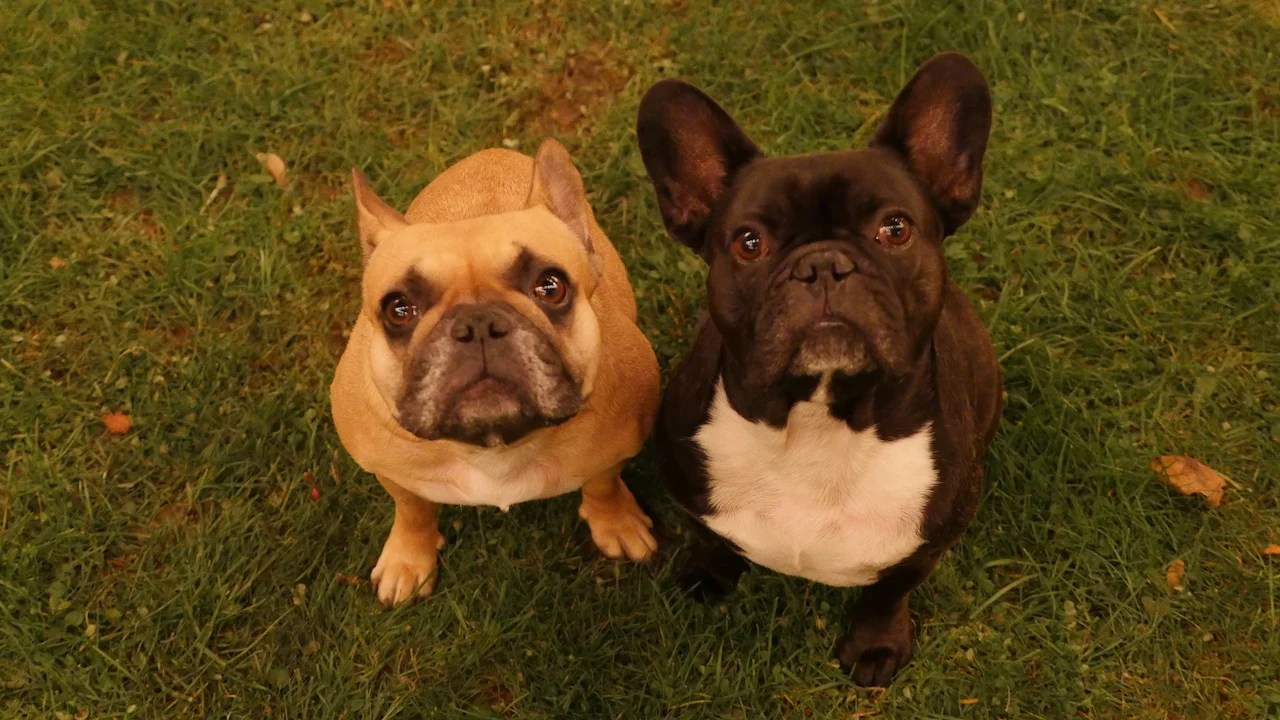 TUESDAY NIGHTIGHTIMES... IN THE DAYTIMES!!?? WHA!!?? (11 photos) 