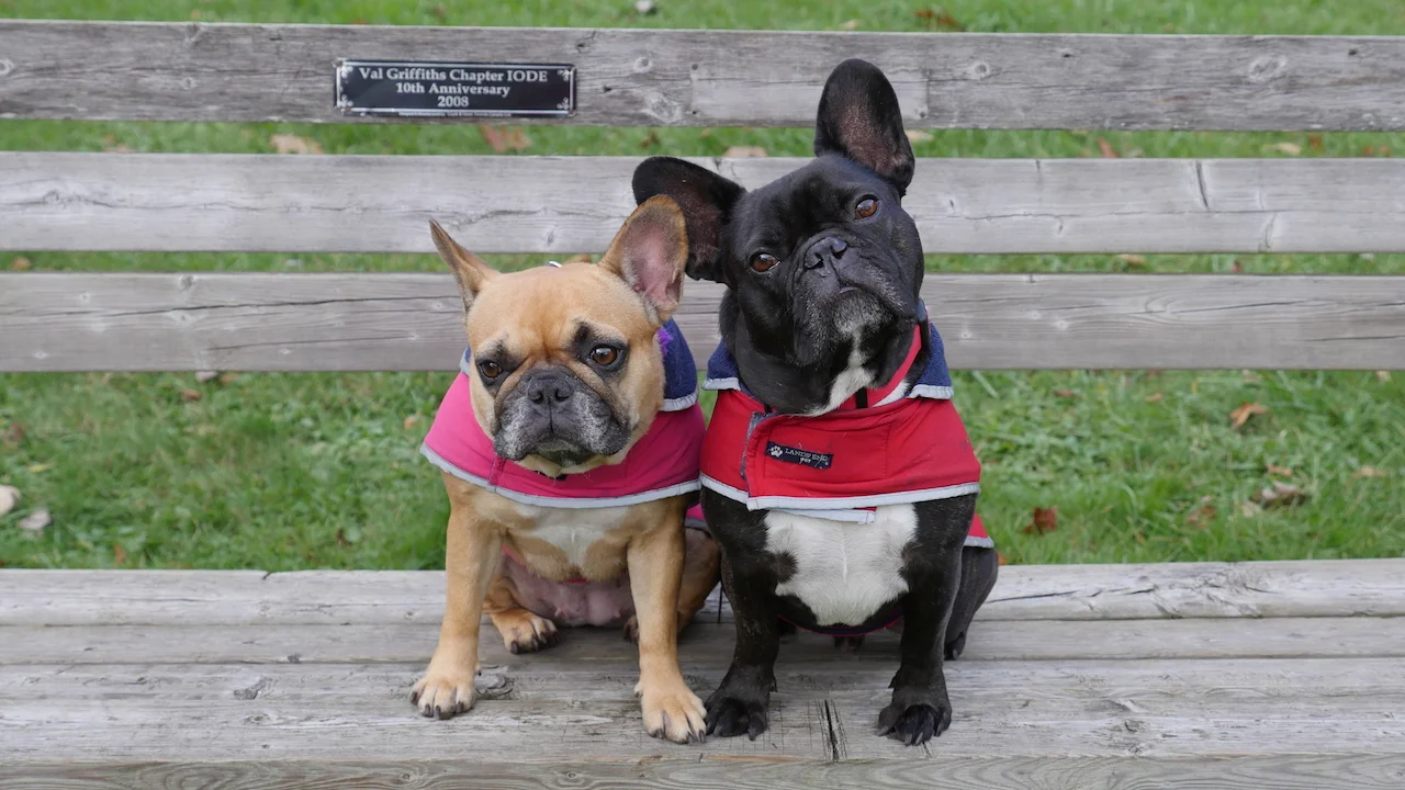 WEDNESDAY MORNINGTIMES...PLUS I LOVE TO WRITE DAY!! (8 photos) 