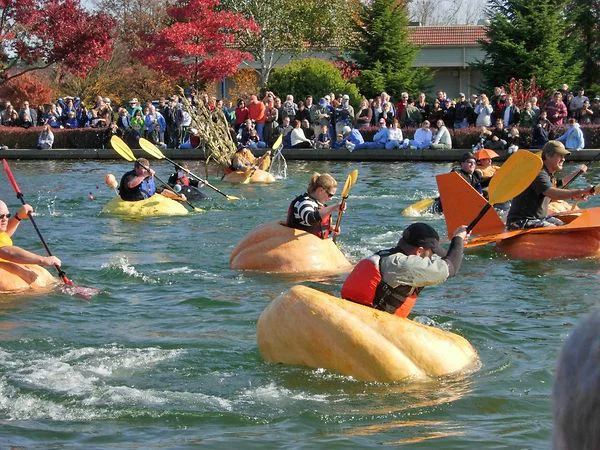 pumpkin-boat-race.jpg