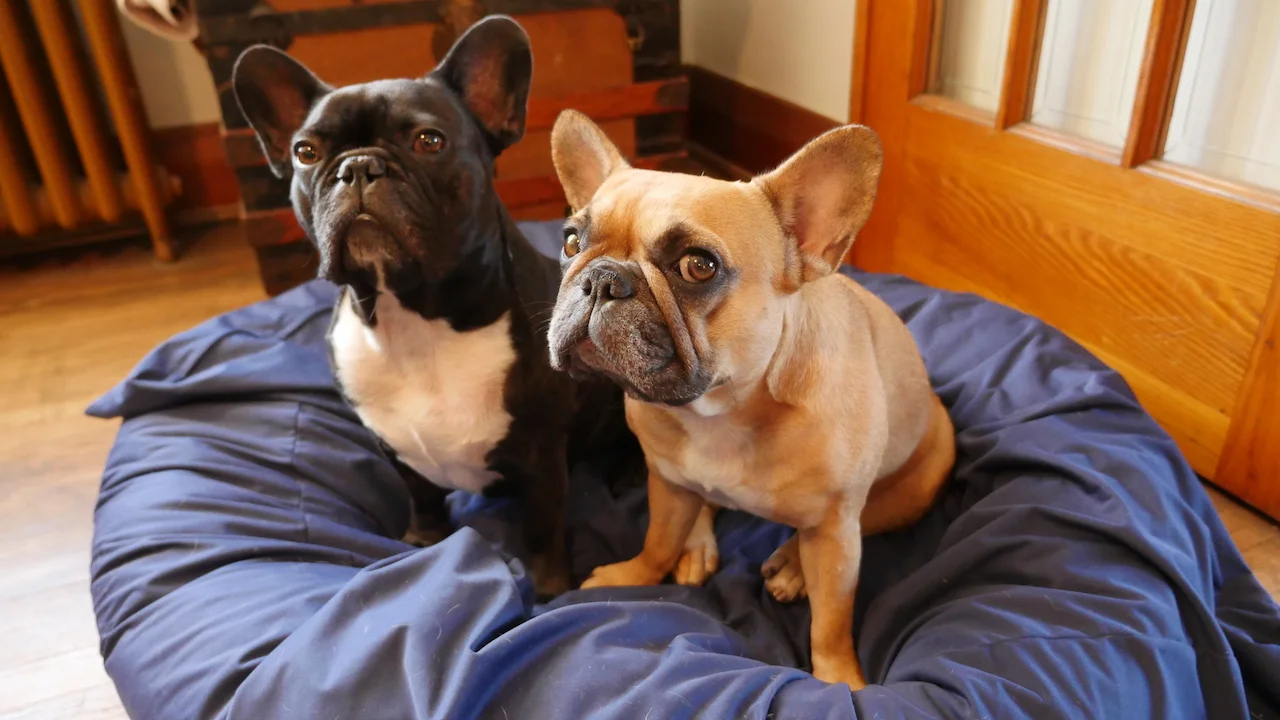 TUESDAY MORNINGTIMES... PLUS A SOOPERWEIRD SPORTYGAME!! (9 photos + gallery) 