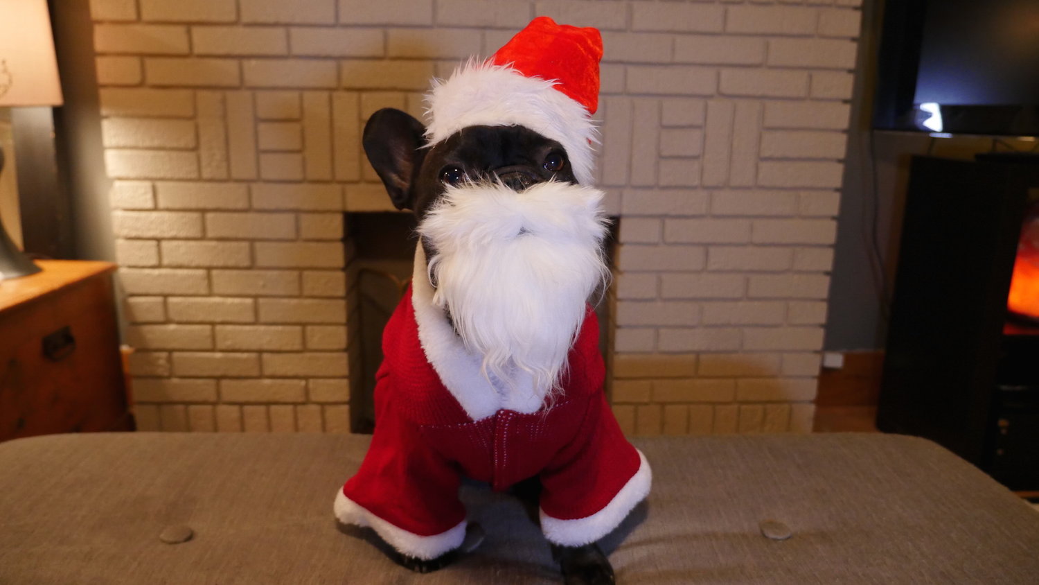 WEDNESDAY NIGHTYNIGHTIMES... PLUS A SPECIAL FRIENDLYFRIEND IS COMING TOMORROWTIMES!! (7 photos) 