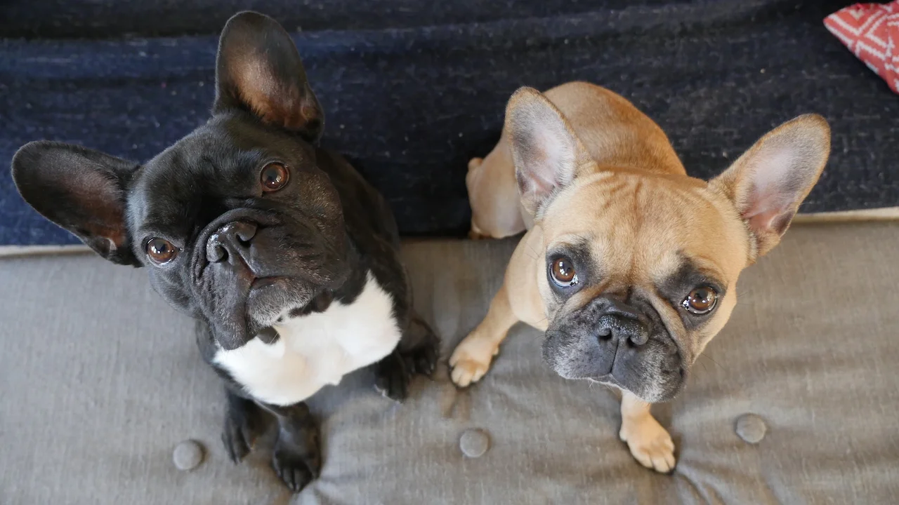 TUESDAY MORNINGTIMES...PLUS THE NEXTEST VERSE OF MY POEMSTORY!! (8 photos)