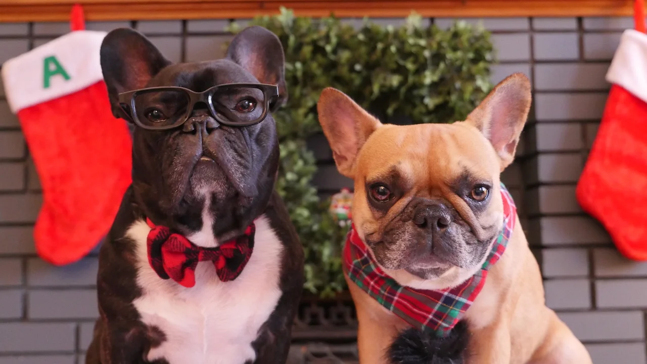 FRIDAYMORNINGTIMES... IS A MAILINGBOX MORNINGTIMES!! (30 photos + poem)