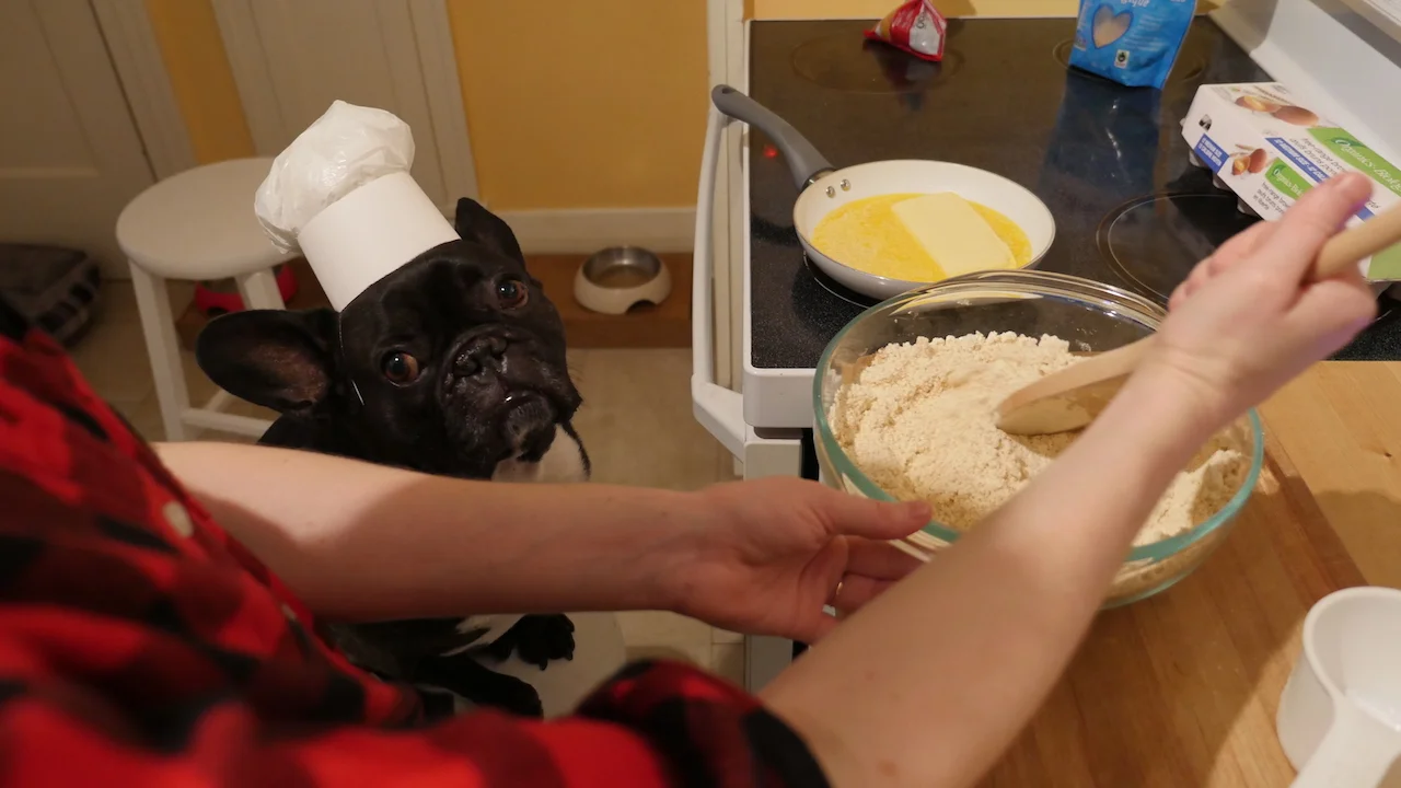 HOLIDAYSATURDAYTIMES... PLUS HOW TO MAKE COOKIECAKES!! (36 photos + poem) 