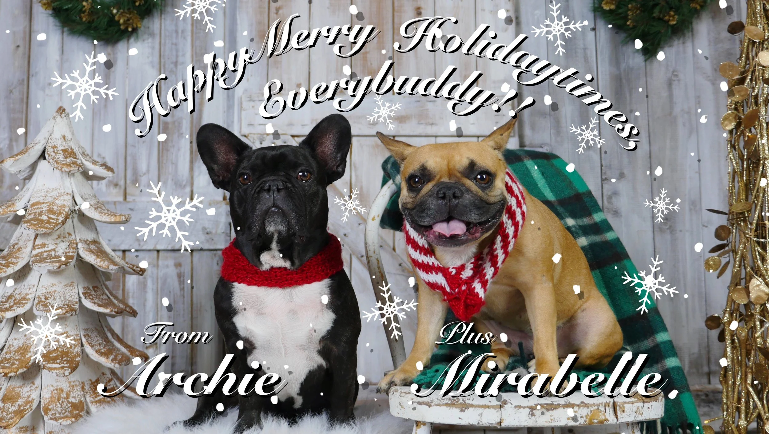 HAPPYMERRYCRISPYMESS, EVERYBUDDY!! (1 greeting card photo) 