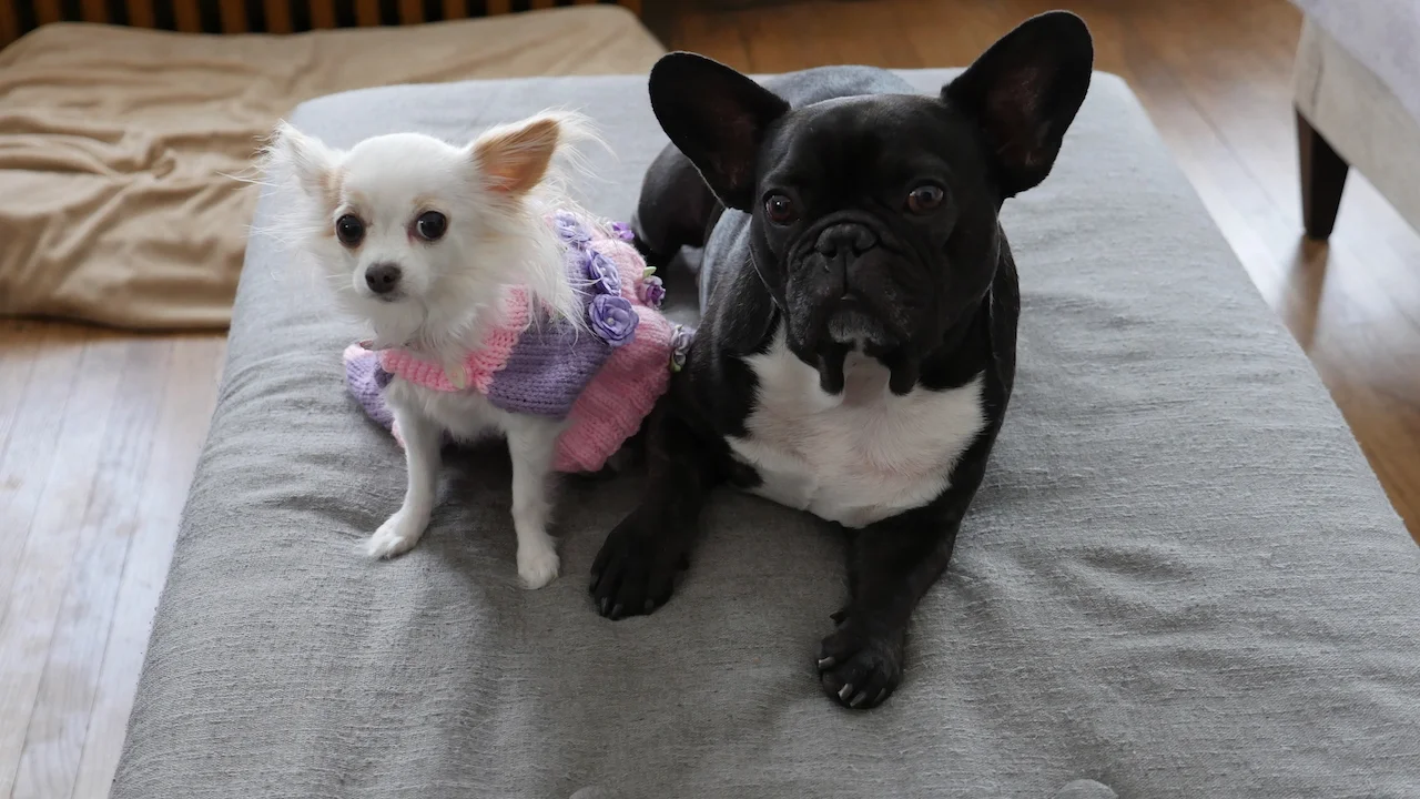 WEDNESDAY MORNINGTIMES... MAKING INTHESAMEPLACEFRIENDS!! (13 photos) 