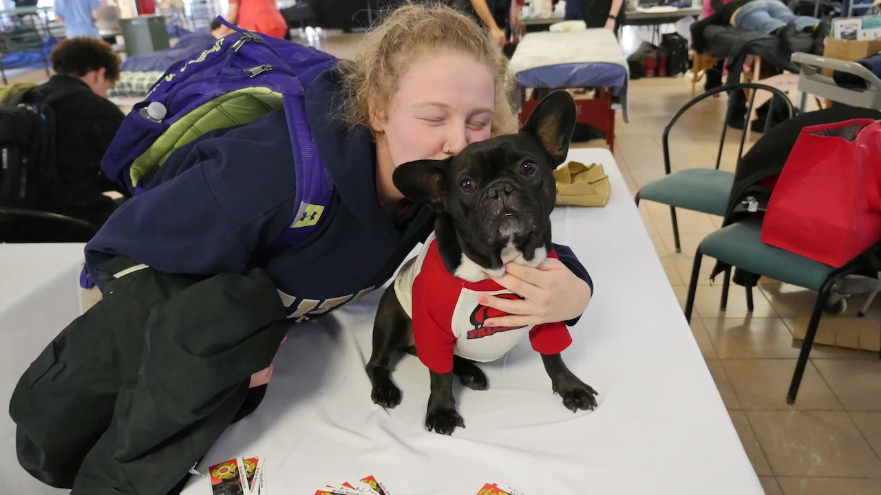 FRIDAY MORNINGTIMES... PLUS A GIGANTICAL PICTURESTORY FROM MY HAPPYHEARTMISSION!! (40 photos + multiple galleries)