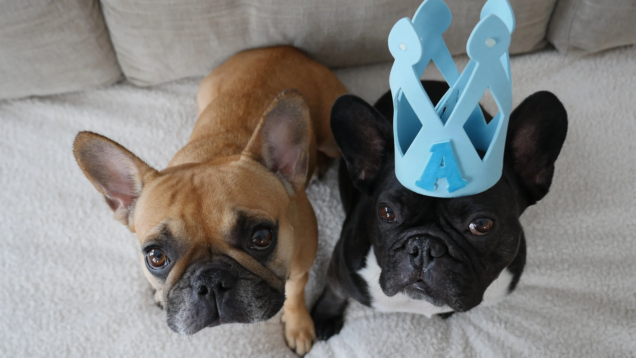 HAPPYMERRYWEEKENDTIMES, GUYS!! (3 photos) 