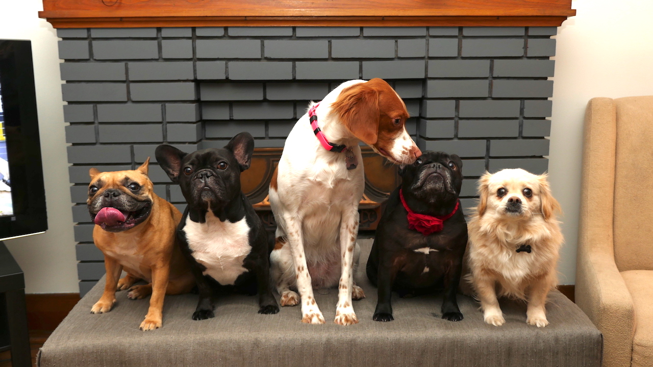 MONDAY MORNINGTIMES... PLUS MY HAPPYMERRYBIRTHDAYTIMES!! (32 photos) 