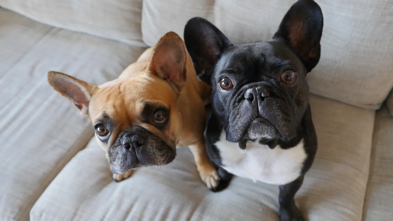 FRIDAY MORNINGTIMES... PLUS WE STAYED IN THE DREAMINGPLACE TOO LONG!! (9 photos)