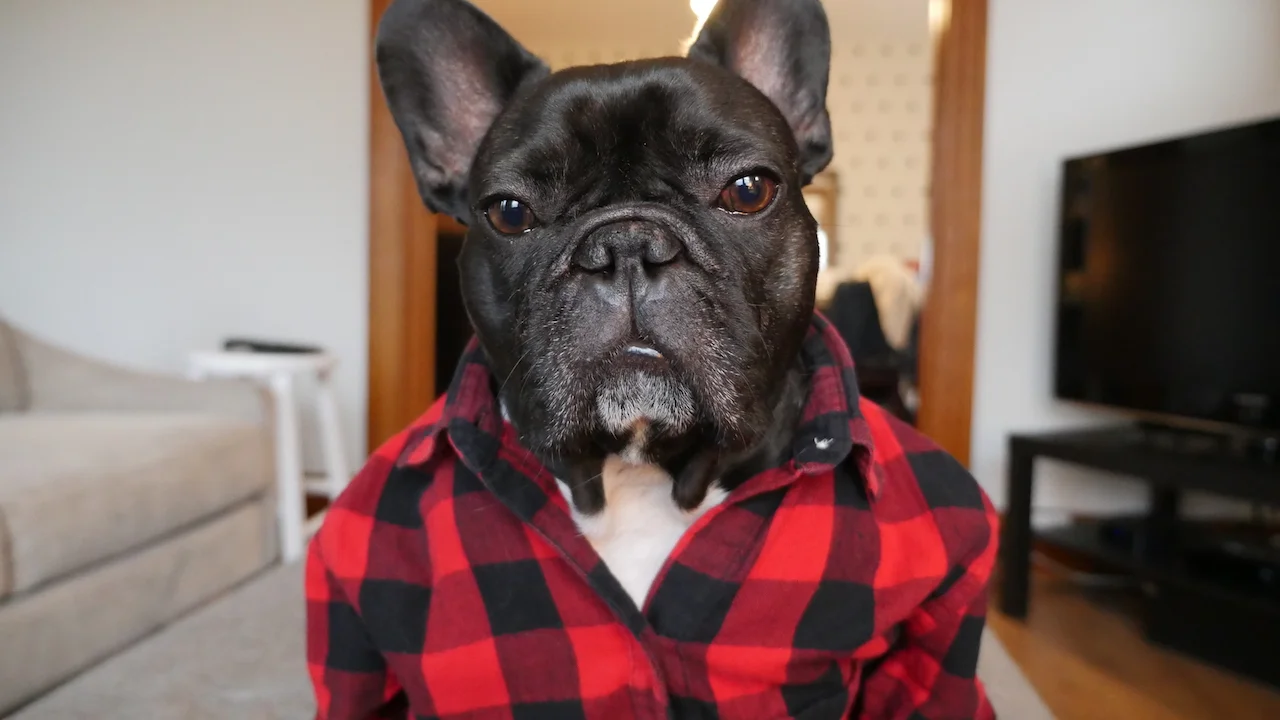 HAPPYMERRYWEEKENDTIMES, EVERYBUDDY!! (2 photos) 