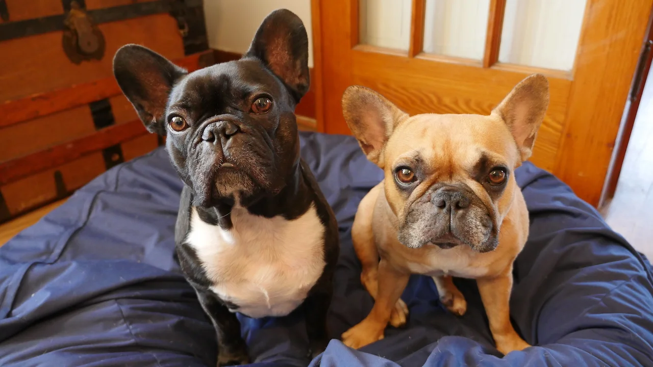 MONDAY MORNINGTIMES... PLUS A WHOLE BUNCHA FROGGINESS!! (10 photos) 