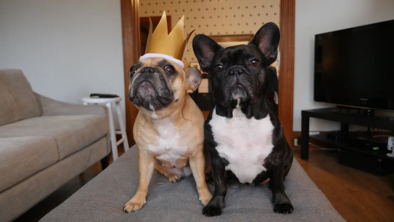 WEDNESDAY MORNINGTIMES... PLUS GLOBAL BELLY LAUGH DAY!! (10 photos) 